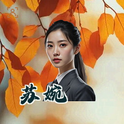 苏婉